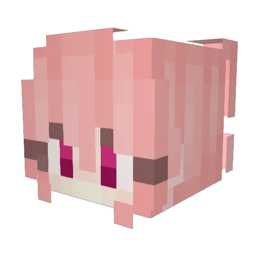 Fuzzball7201 Minecraft avatar head, 3D render