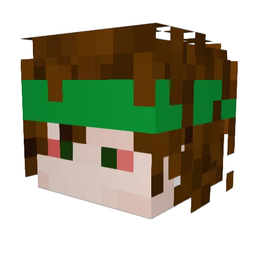 Fuzzbuckit Minecraft avatar head, 3D render