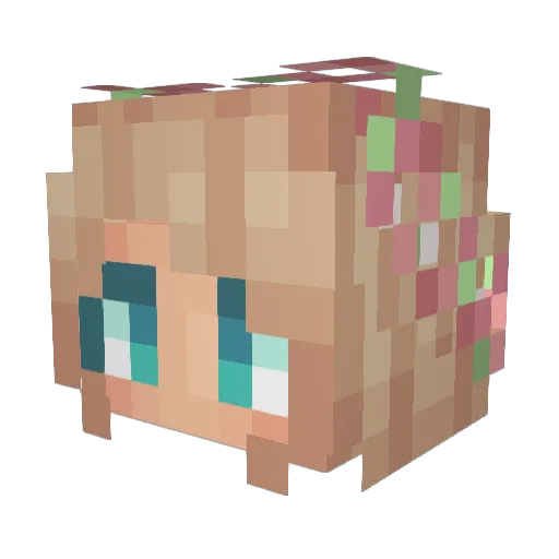 FuzzledFrog Minecraft avatar head, 3D render