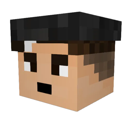 FuzzyBaggins Minecraft avatar head, 3D render