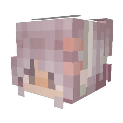 FuzzyBubblegum Minecraft avatar head, 3D render