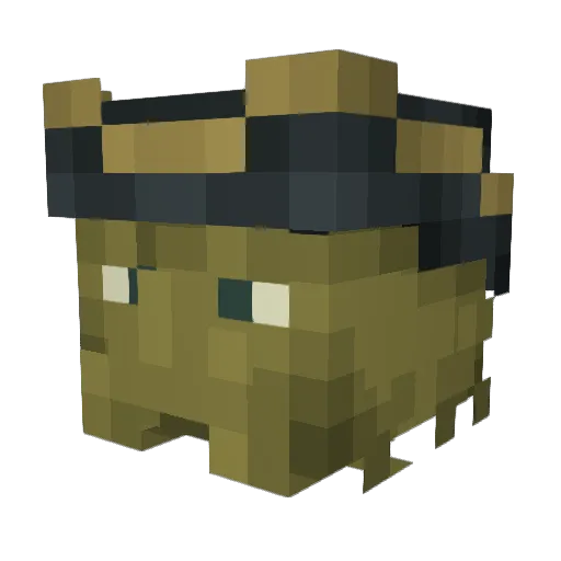FuzzyBunny456 Minecraft avatar head, 3D render