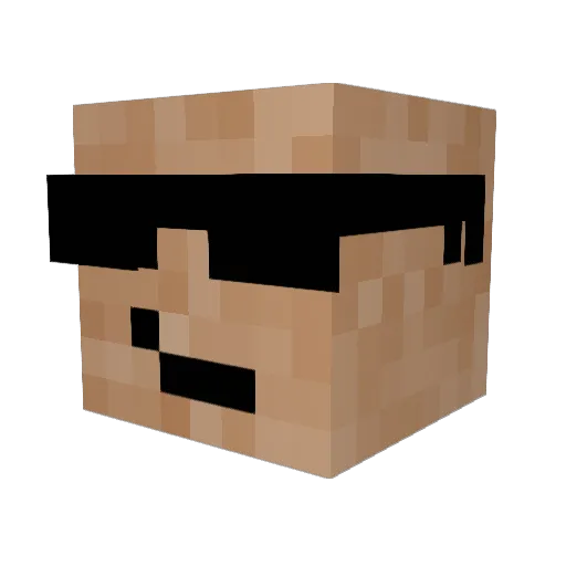 FuzzyDolphinz45 Minecraft avatar head, 3D render