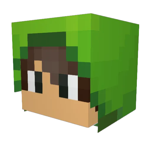 FuzzyFuze Minecraft avatar head, 3D render