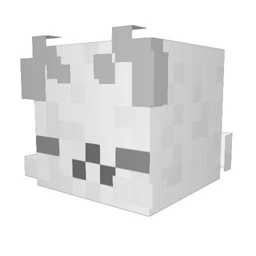FuzzyKitten16 Minecraft avatar head, 3D render
