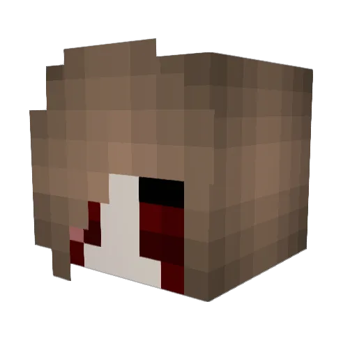 FuzzyKitty101 Minecraft avatar head, 3D render