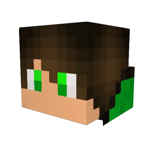 FuzzyLizard4591 Minecraft avatar head, 3D render