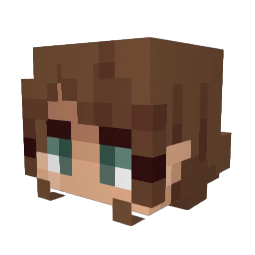 FuzzyMoney Minecraft avatar head, 3D render