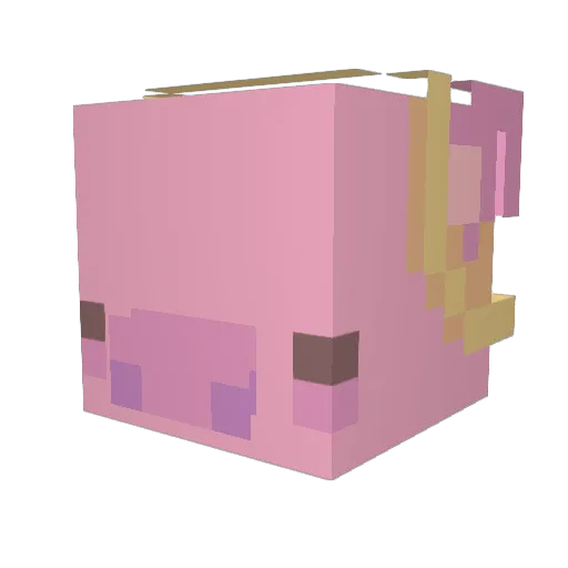 FuzzyPenguin03 Minecraft avatar head, 3D render