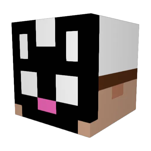 FuzzySkybunny Minecraft avatar head, 3D render
