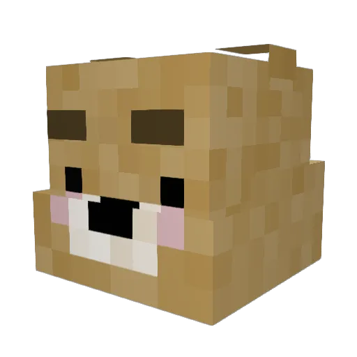Fuzzy_Bear69 Minecraft avatar head, 3D render