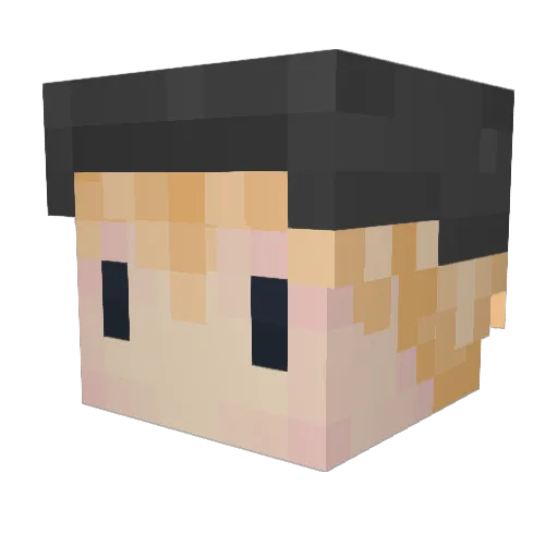 Fuzzy____Penguin Minecraft avatar head, 3D render