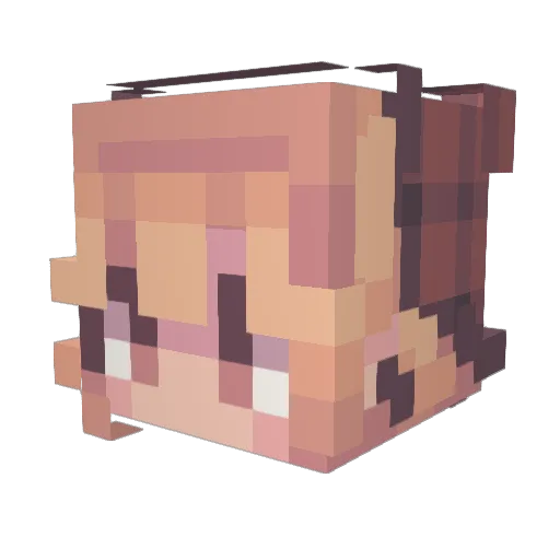 Fuzzy_bum67 Minecraft avatar head, 3D render