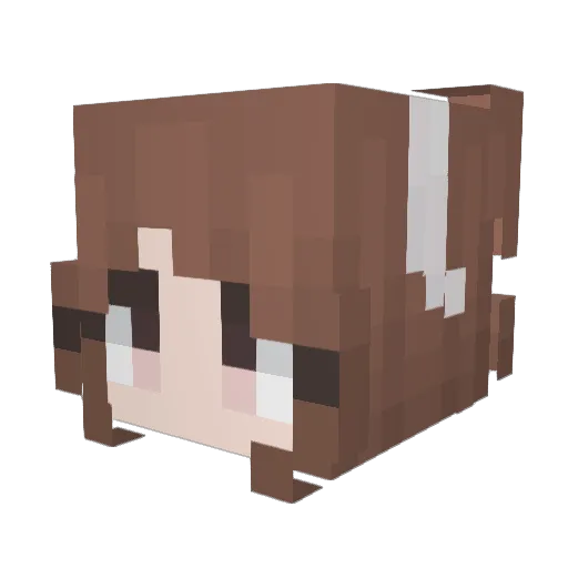 Fuzzy_flower Minecraft avatar head, 3D render
