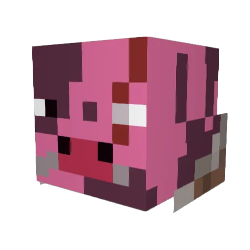 Fuzzycarp Minecraft avatar head, 3D render