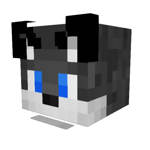 Fuzzypupperz Minecraft avatar head, 3D render