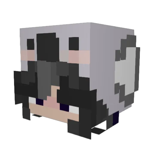 Fuzzzzy Minecraft avatar head, 3D render