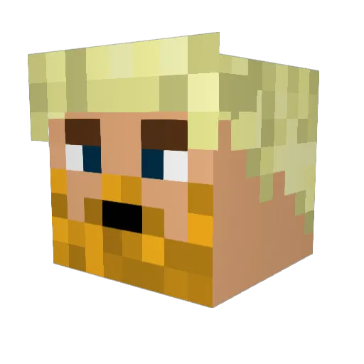 Fvnex Minecraft avatar head, 3D render