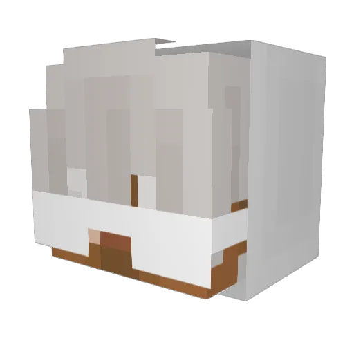 Fvrost Minecraft avatar head, 3D render