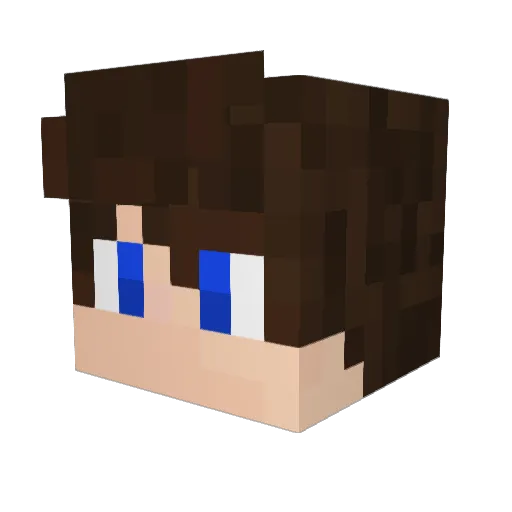 Fvsmol Minecraft avatar head, 3D render