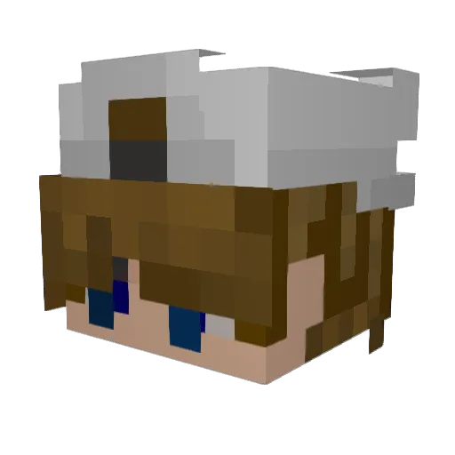 Fw4nky Minecraft avatar head, 3D render