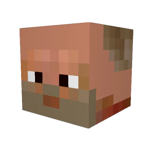 Fweastly Minecraft avatar head, 3D render
