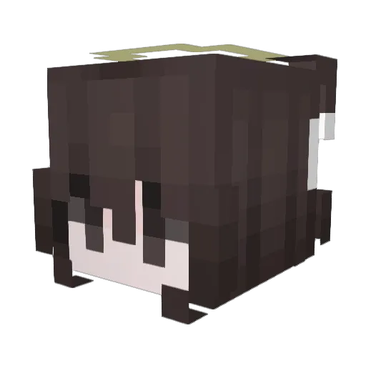 Fwenec Minecraft avatar head, 3D render