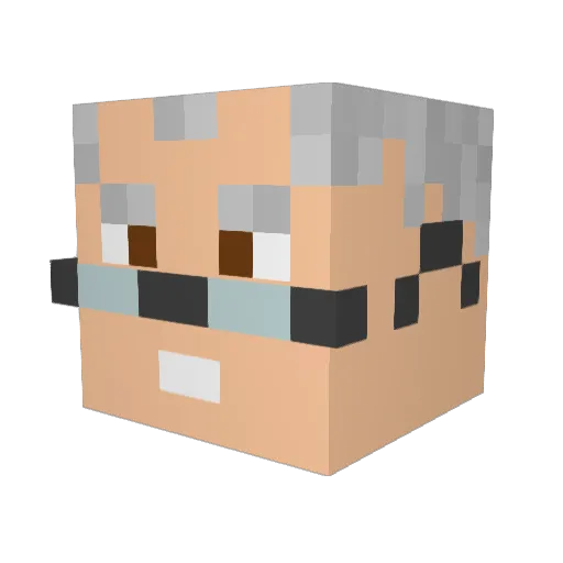Fwetch6 Minecraft avatar head, 3D render