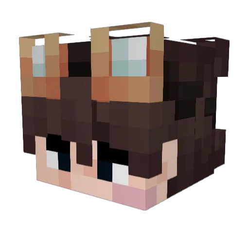 Fwling_ Minecraft avatar head, 3D render