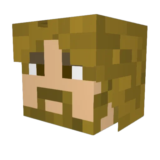 FwoopFwoop Minecraft avatar head, 3D render