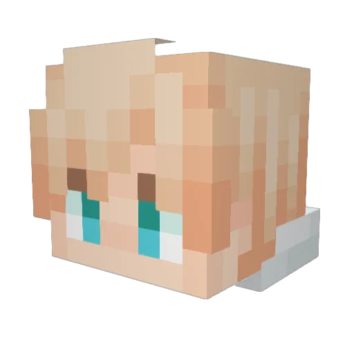 FwostyYT Minecraft avatar head, 3D render