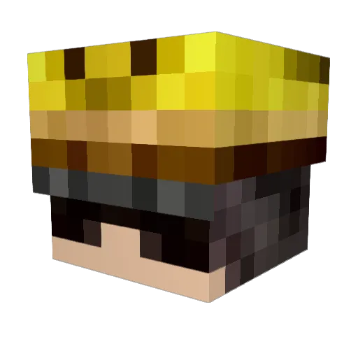 Fwrru Minecraft avatar head, 3D render