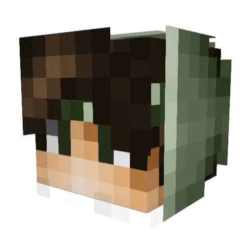 Fwths Minecraft avatar head, 3D render