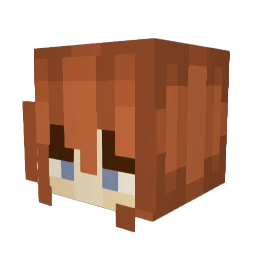 Fwuinn Minecraft avatar head, 3D render