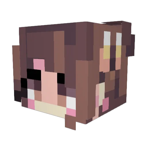 Fwumbledum Minecraft avatar head, 3D render