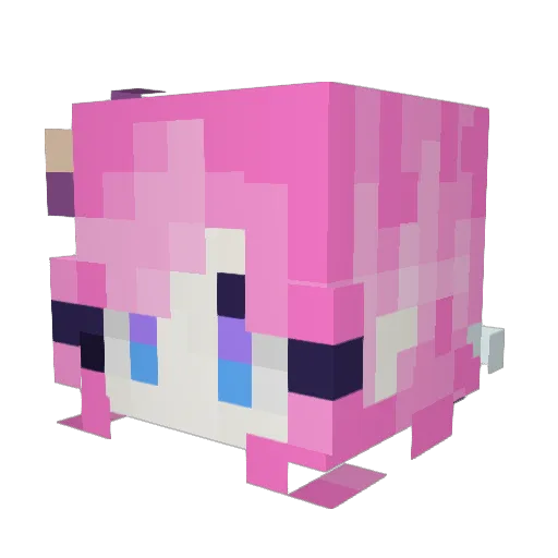 Fwwhl Minecraft avatar head, 3D render