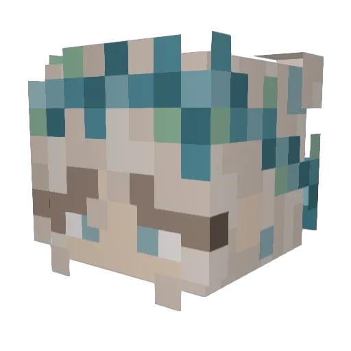 Fxding_Orchid Minecraft avatar head, 3D render