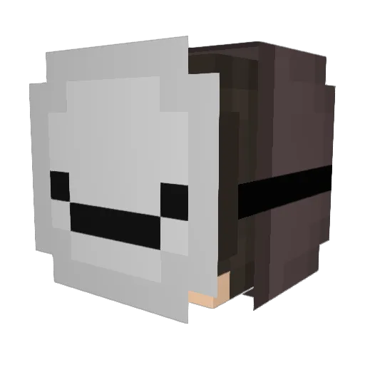 FxlixDNS Minecraft avatar head, 3D render
