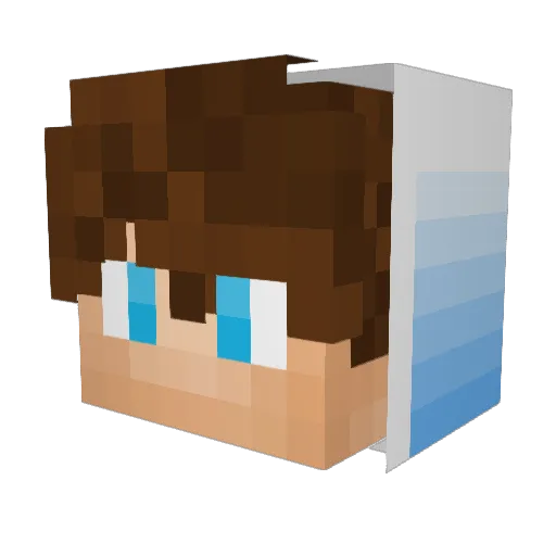 Fxlix_Hk Minecraft avatar head, 3D render