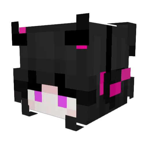 Fxllenstar Minecraft avatar head, 3D render