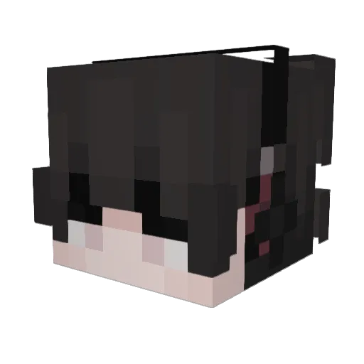 Fxllis Minecraft avatar head, 3D render