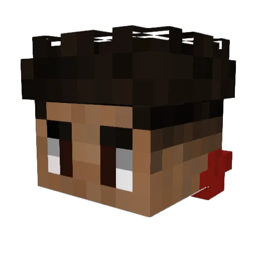 Fxllz Minecraft avatar head, 3D render