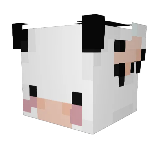 Fxnals Minecraft avatar head, 3D render