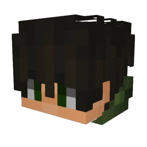 FxnnNicholas Minecraft avatar head, 3D render