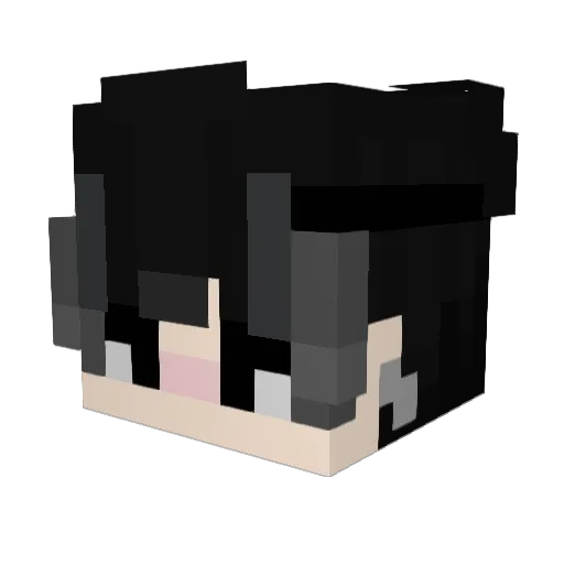 Fxqu Minecraft avatar head, 3D render