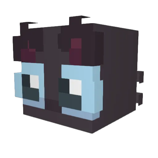 Fxrce Minecraft avatar head, 3D render