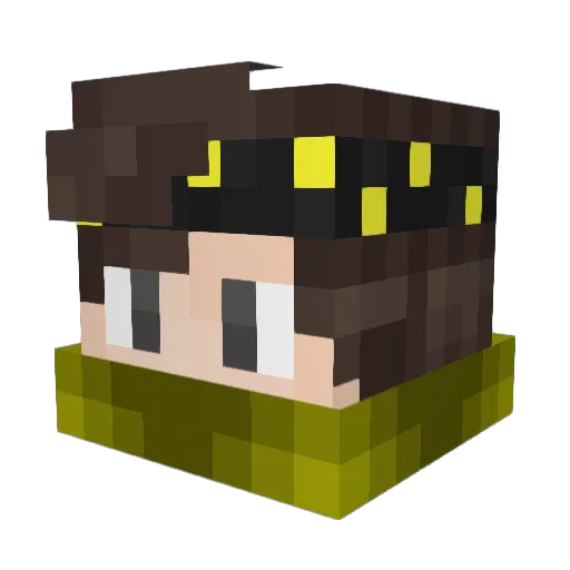 Fxst11 Minecraft avatar head, 3D render