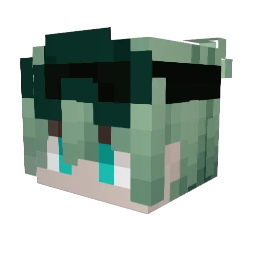 Fxsula Minecraft avatar head, 3D render