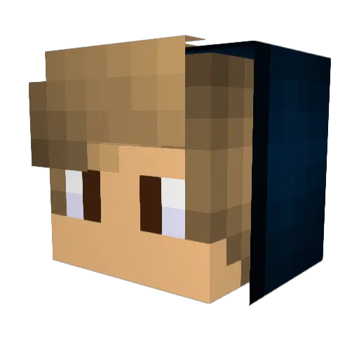 Fxttuccxne Minecraft avatar head, 3D render