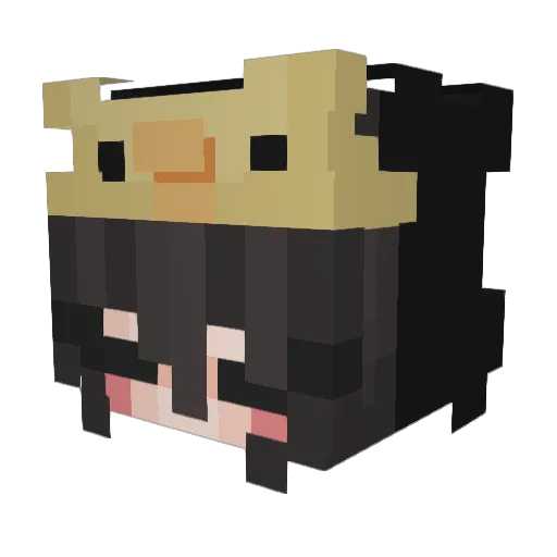 FyM739 Minecraft avatar head, 3D render